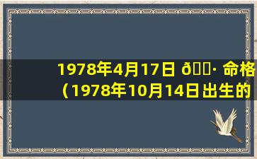 1978年4月17日 🕷 命格（1978年10月14日出生的 🌺 命运）